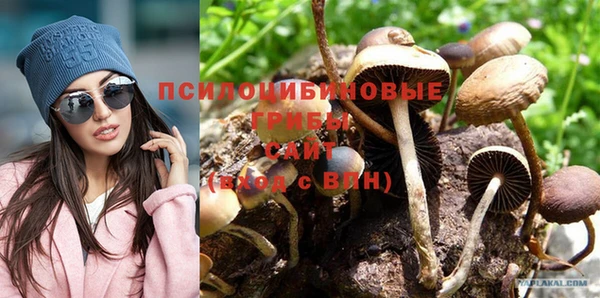 кокс Арсеньев