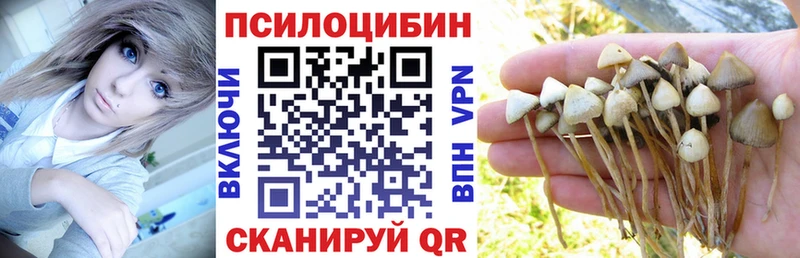 ОМГ ОМГ зеркало наркотики Сальск мориарти Telegram Галлюциногенные грибы Psilocybine cubensis